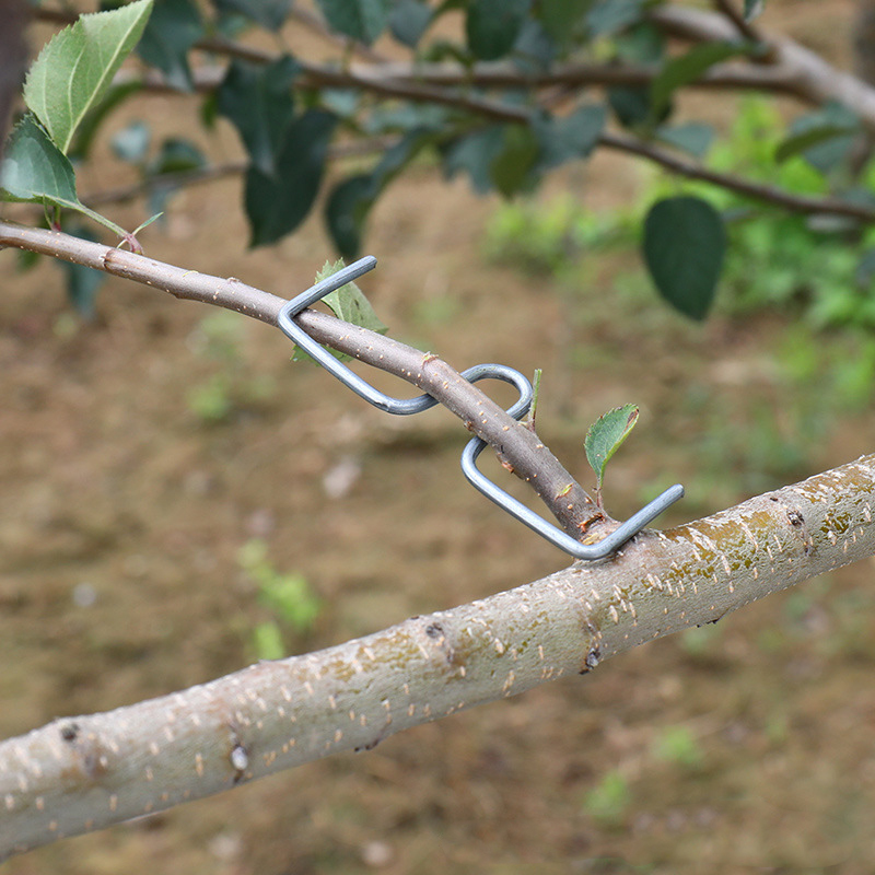 Gardening Tools Usa - 30pcs/set Fruit Tree Branch Puller Hook
