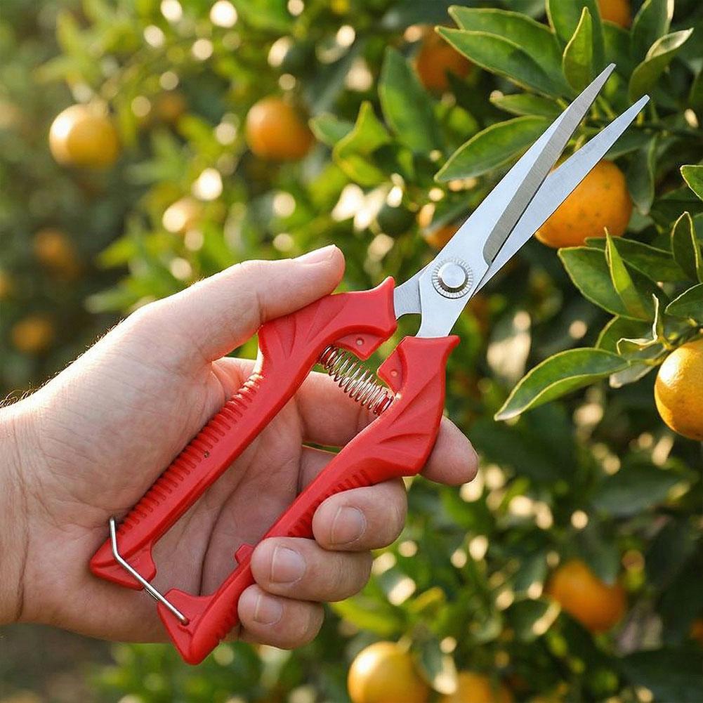 1PC Stainless Steel Garden Sci – обзор и цена Gardening Tools To Cut Branches
