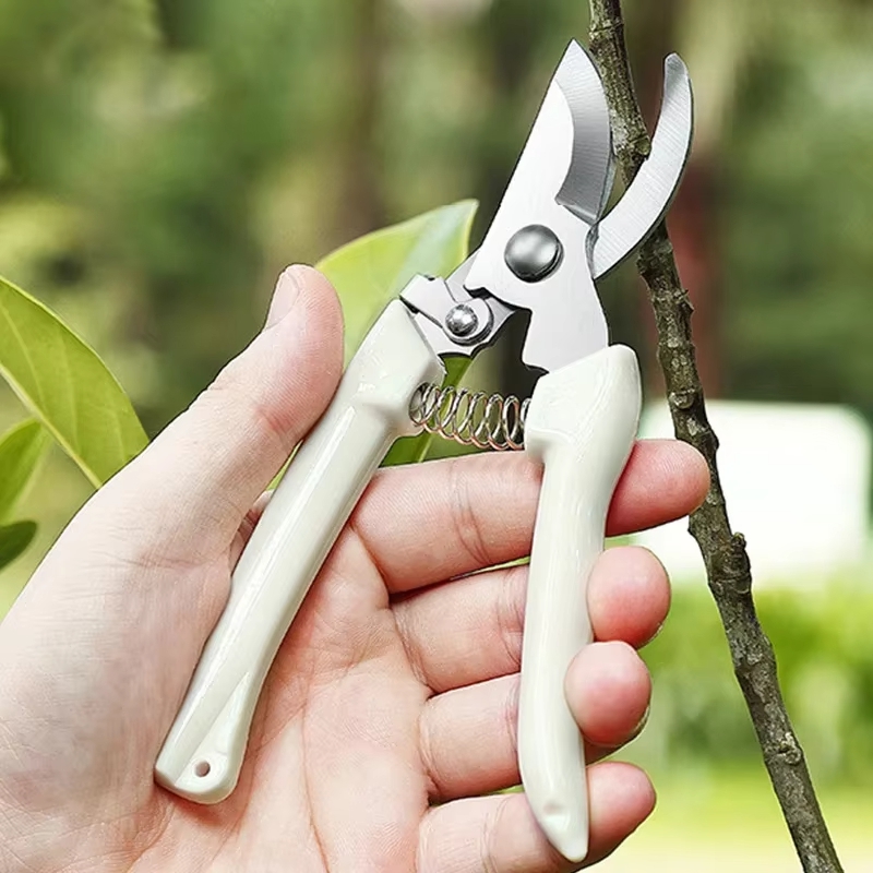 Stainless Steel Pruning Shears – обзор и цена Gardening Tools To Cut Branches