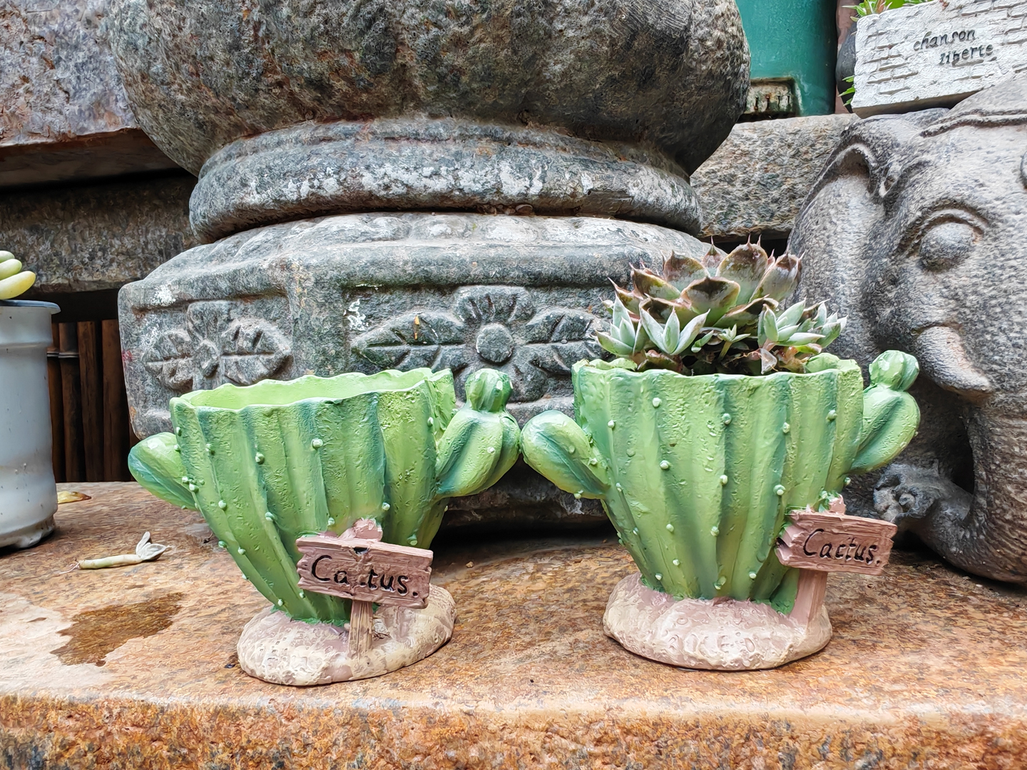 Cactus Flower Planter Pot Cute – обзор и цена Gardening Tools Cute