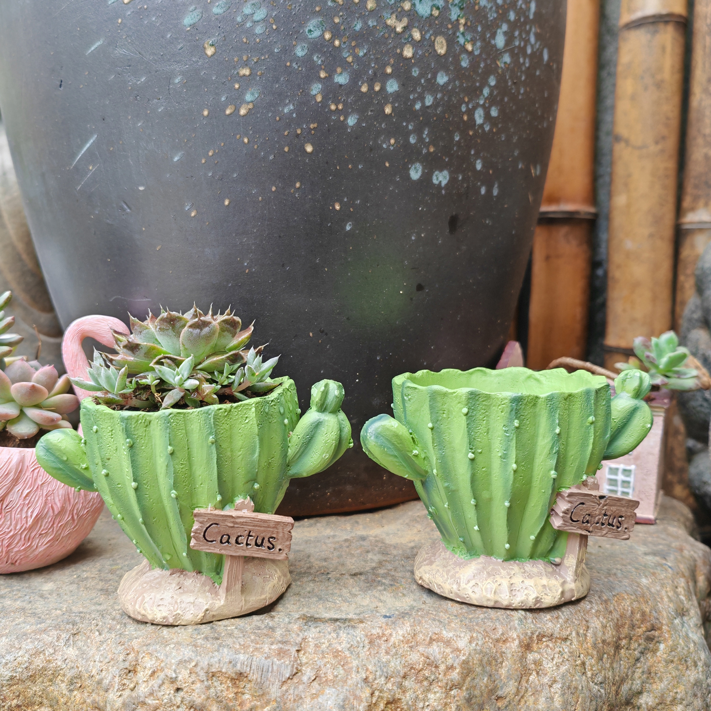 Cactus Flower Planter Pot Cute – обзор и цена Gardening Tools Cute