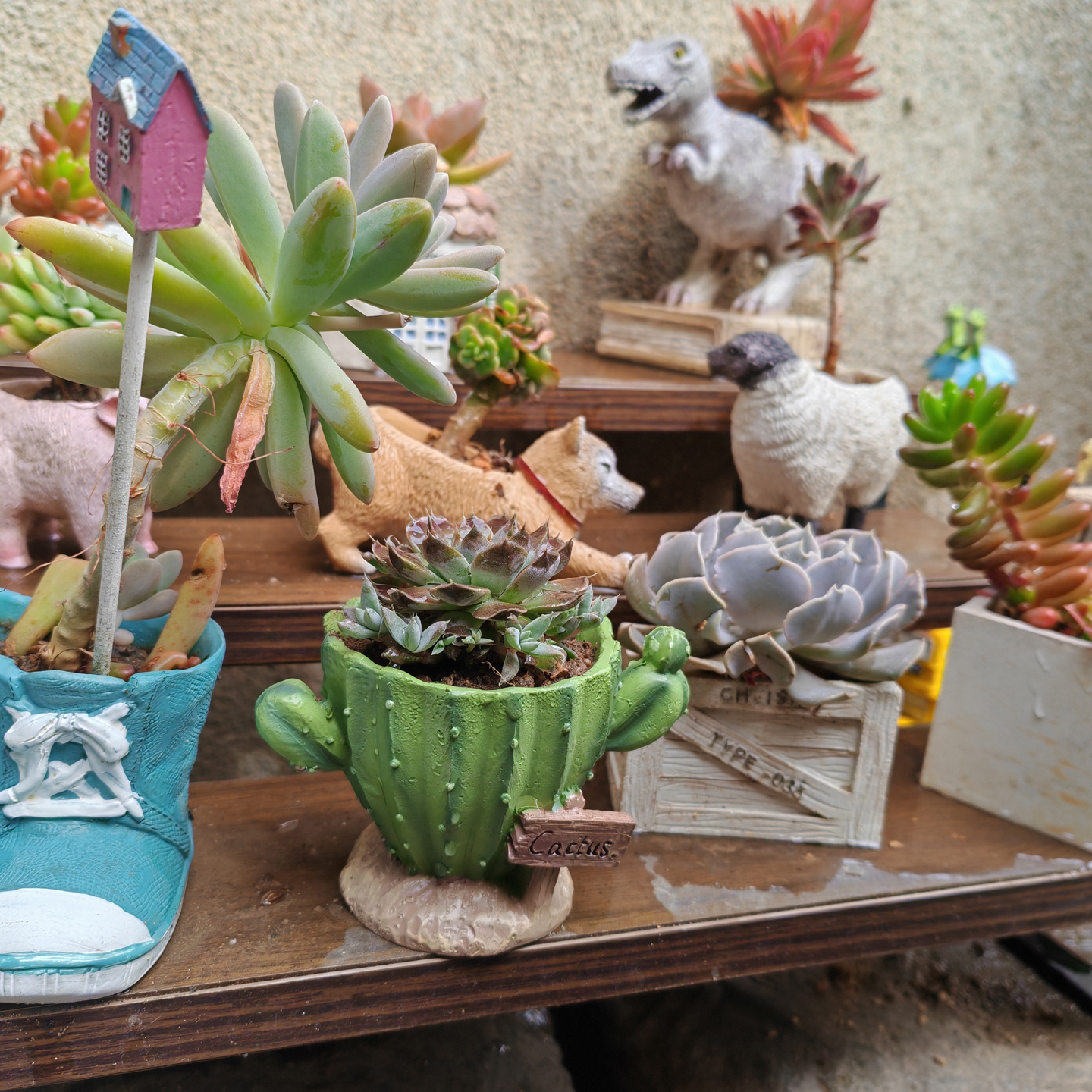 Cactus Flower Planter Pot Cute – обзор и цена Gardening Tools Cute