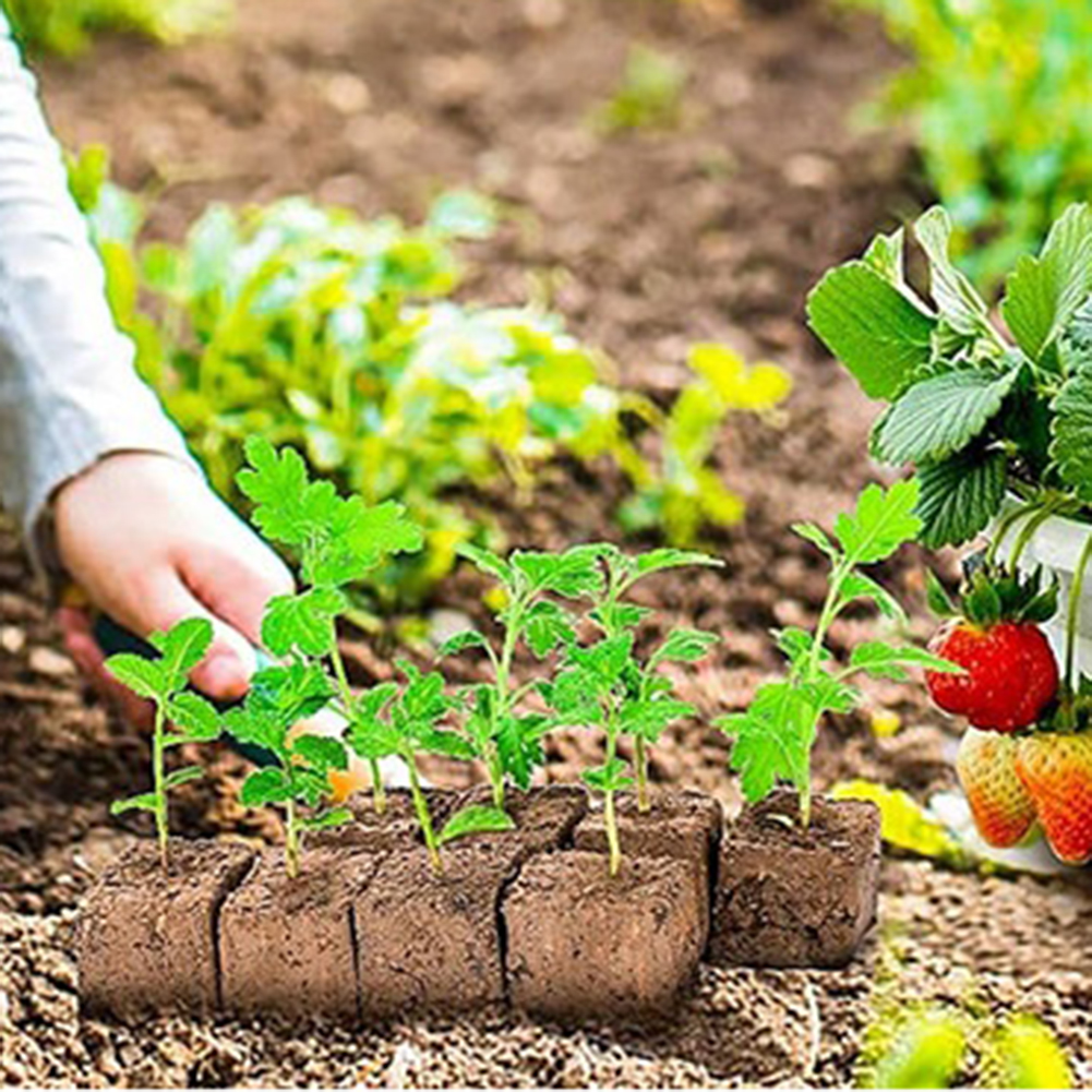 Soil Block Maker: Essential Ga – обзор и цена Gardening Tools Essential