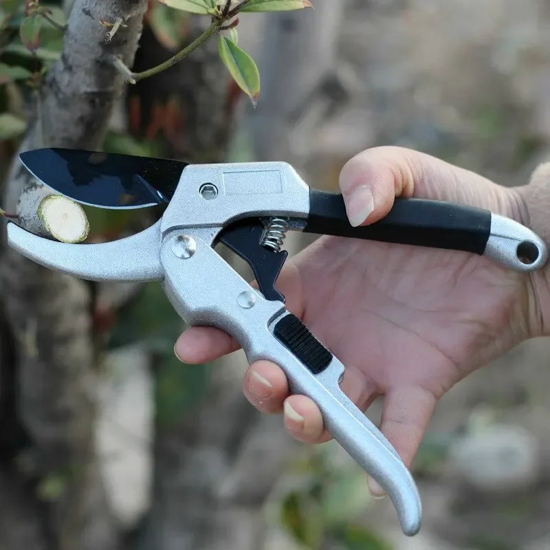20mm Plant Trim Horticulture H – обзор и цена Gardening Tools To Cut Branches