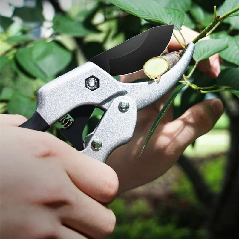 20mm Plant Trim Horticulture H – обзор и цена Gardening Tools To Cut Branches