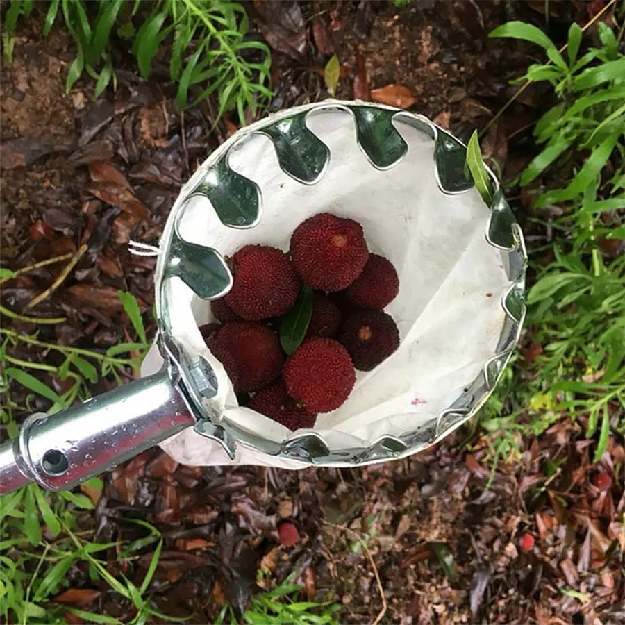 3-in-1 Fruit Harvesting Tool S – обзор и цена Gardening Tools Usa