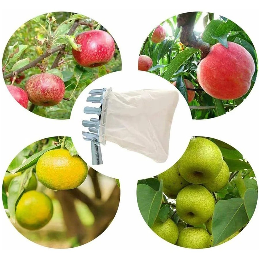 3-in-1 Fruit Harvesting Tool S – обзор и цена Gardening Tools Usa