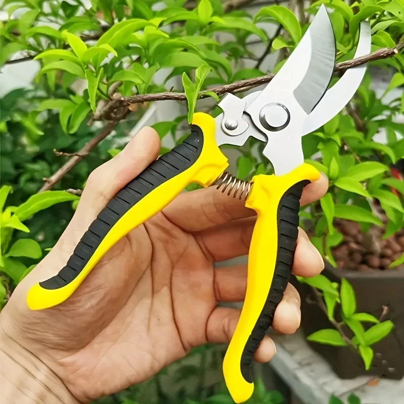 Stainless Steel Professional G – обзор и цена Gardening Tools On Sale