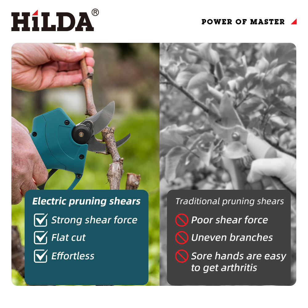 HILDA 18V Brushless Cordless E – обзор и цена Gardening Tools Usa