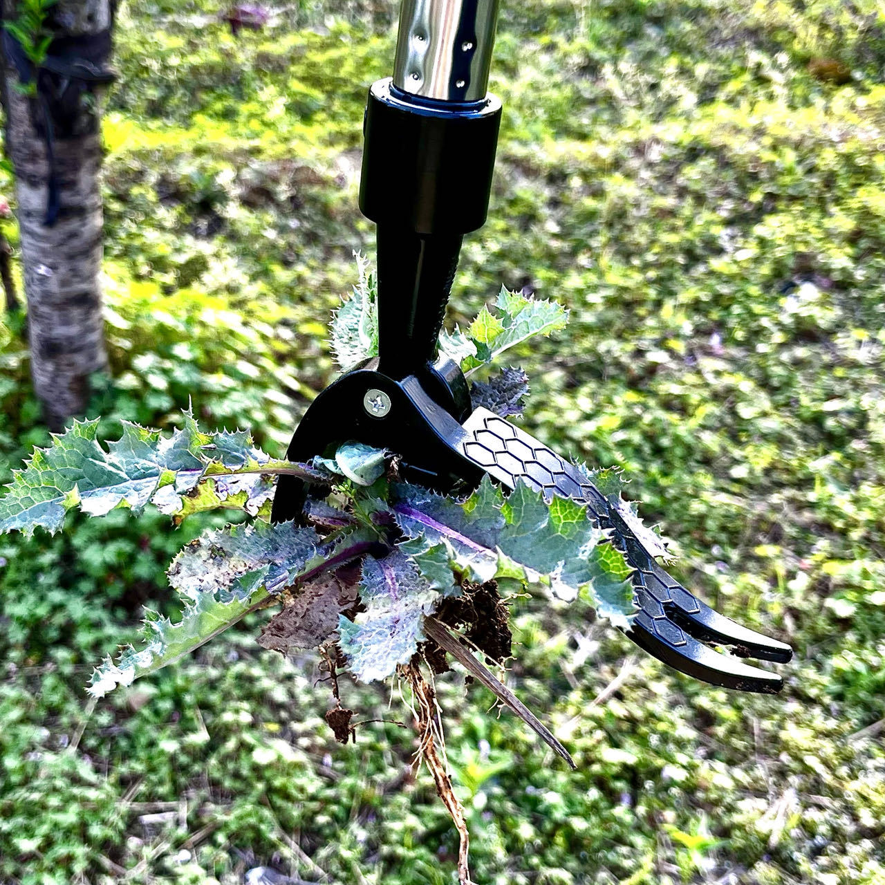 Save Labour Hand Metal Weed Ex – обзор и цена Gardening Tools You Need