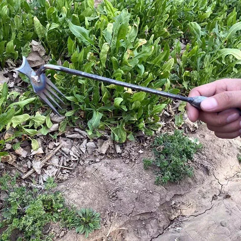 Garden Weeders Grass Hand Weed – обзор и цена Gardening Tools To Remove Grass
