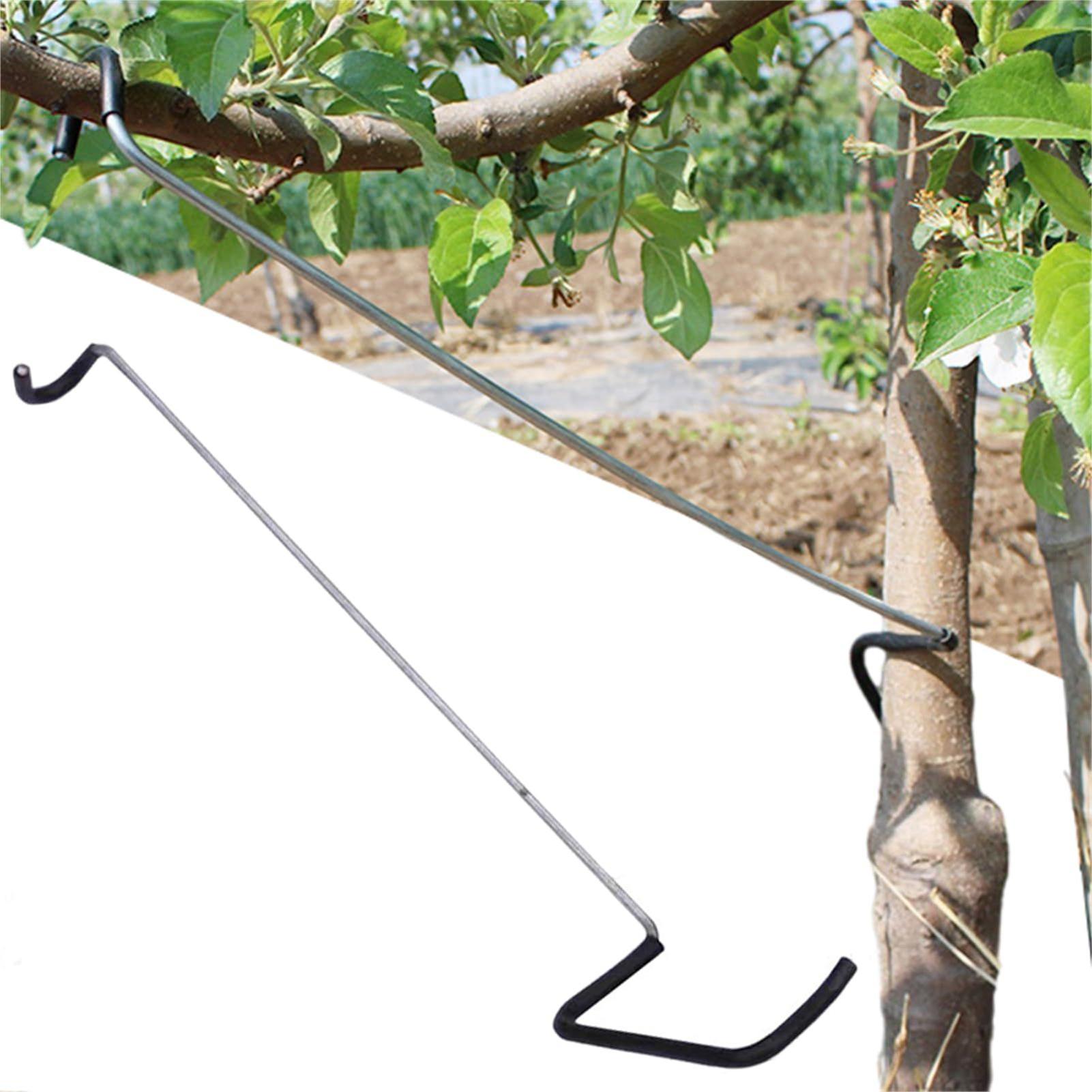 Fruit Tree Branch Spreader 10P – обзор и цена Gardening Tools Usa