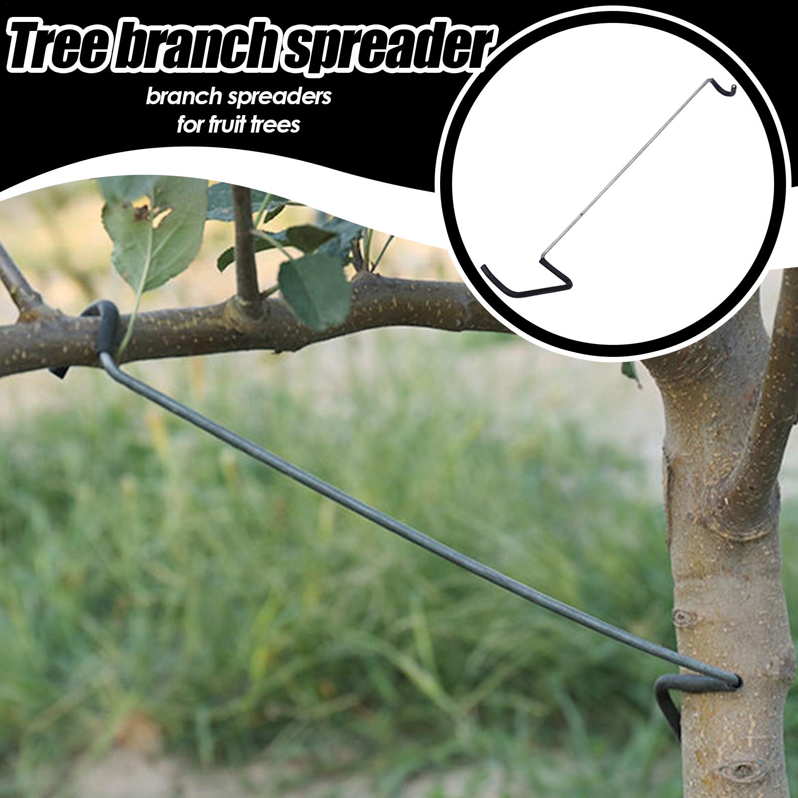 Fruit Tree Branch Spreader 10P – обзор и цена Gardening Tools Usa