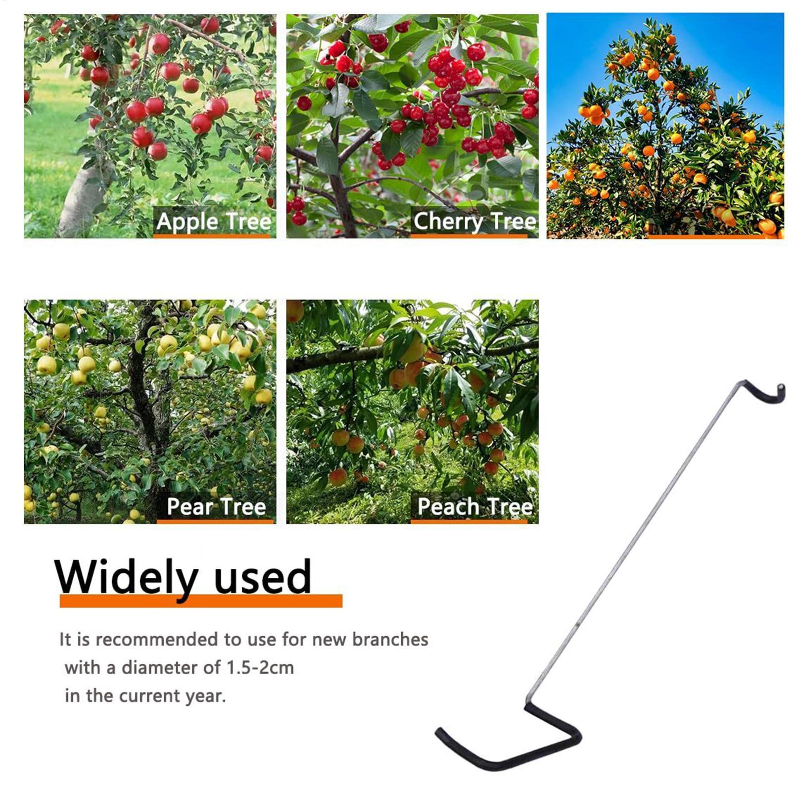 Fruit Tree Branch Spreader 10P – обзор и цена Gardening Tools Usa