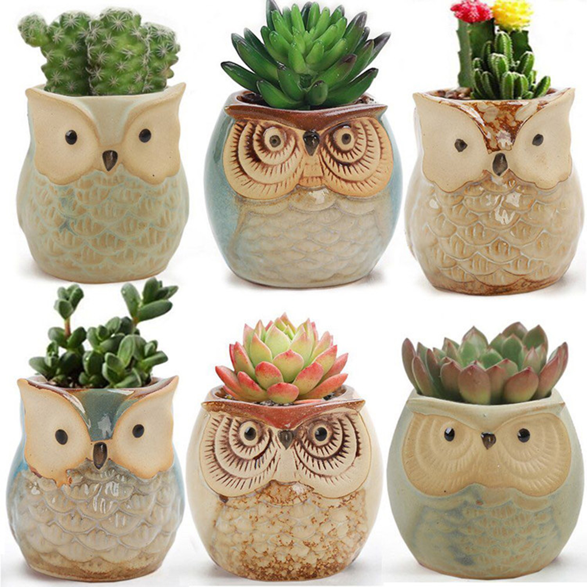 Home Garden Supplies Decoratio – обзор и цена Gardening Tools Cute