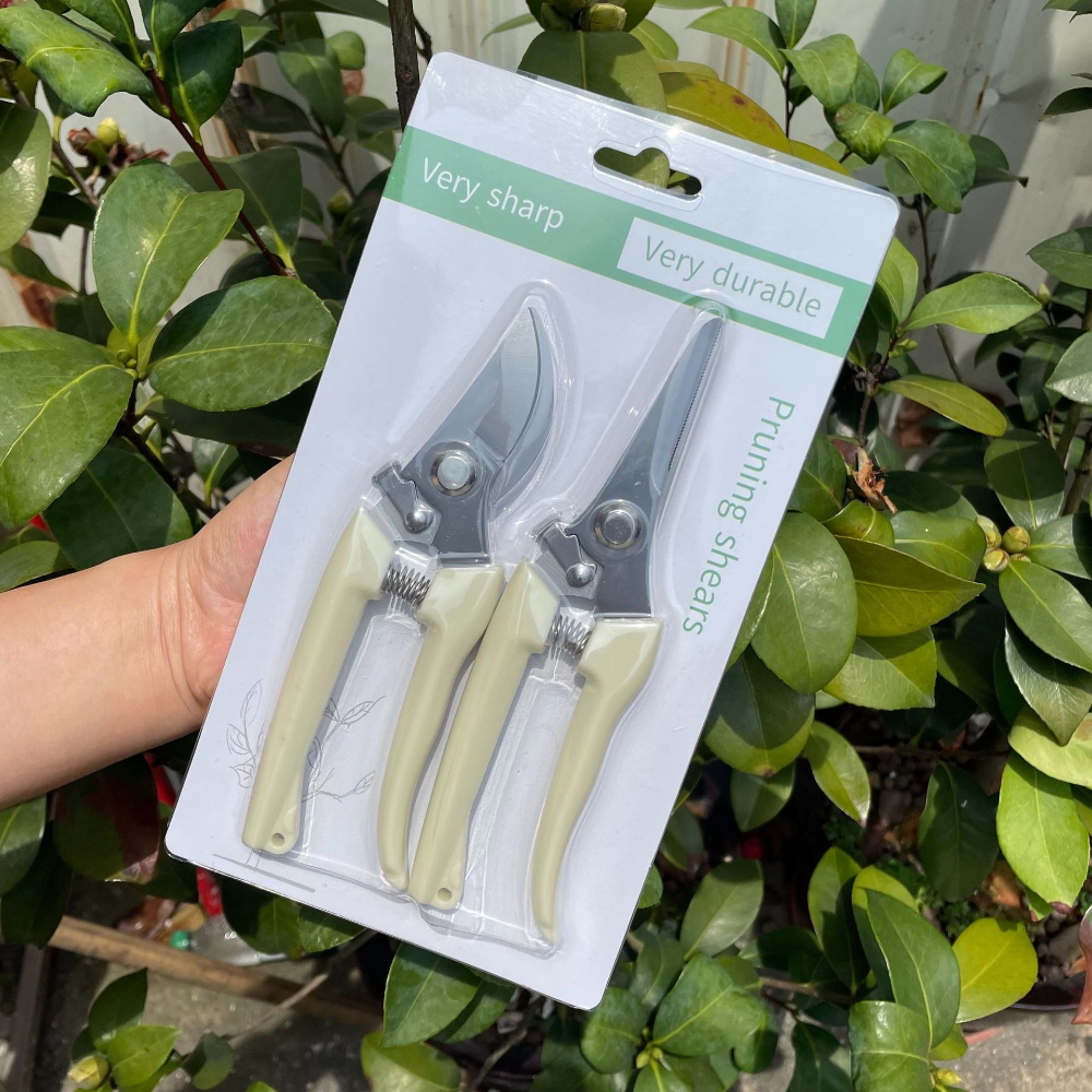 Garden Pruning Scissors Fruit  – обзор и цена Gardening Tools On Sale