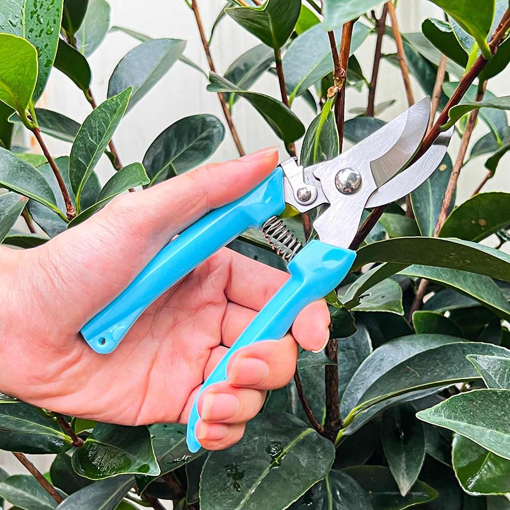 Garden Pruning Scissors Fruit  – обзор и цена Gardening Tools On Sale