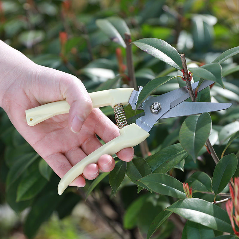1PC Stainless Steel Pruning Sc – обзор и цена Gardening Tools To Cut Branches