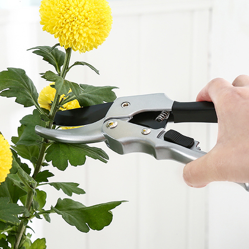 New 20cm Ratchet Plant Trim Ho – обзор и цена Gardening Tools To Cut Branches