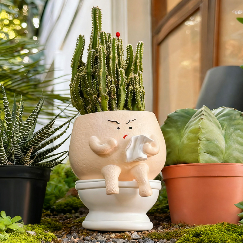 Funny Ghost Toilet Resin Succu – обзор и цена Gardening Tools Cute
