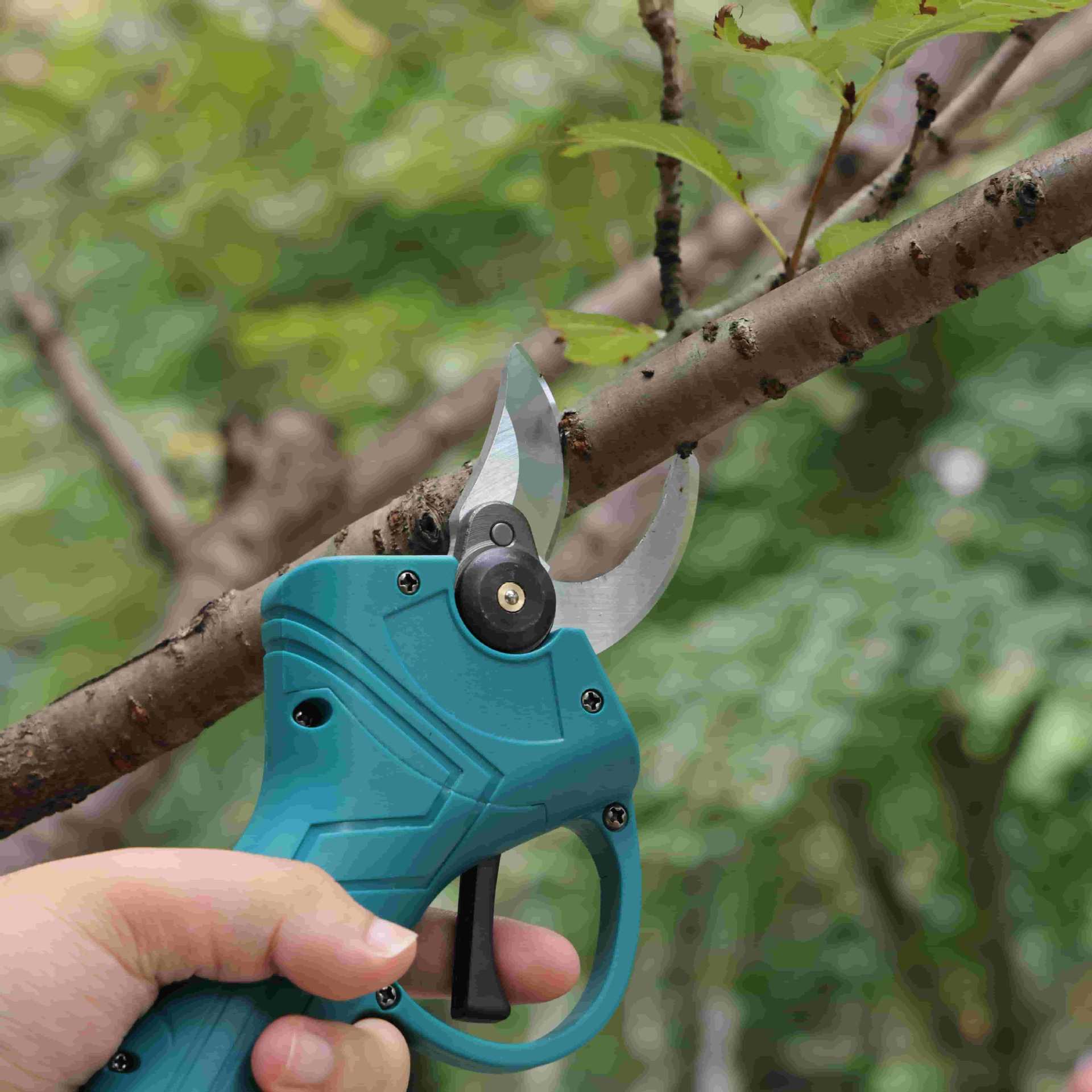 Electric trimmer trimmer lithi – обзор и цена Gardening Tools To Cut Branches