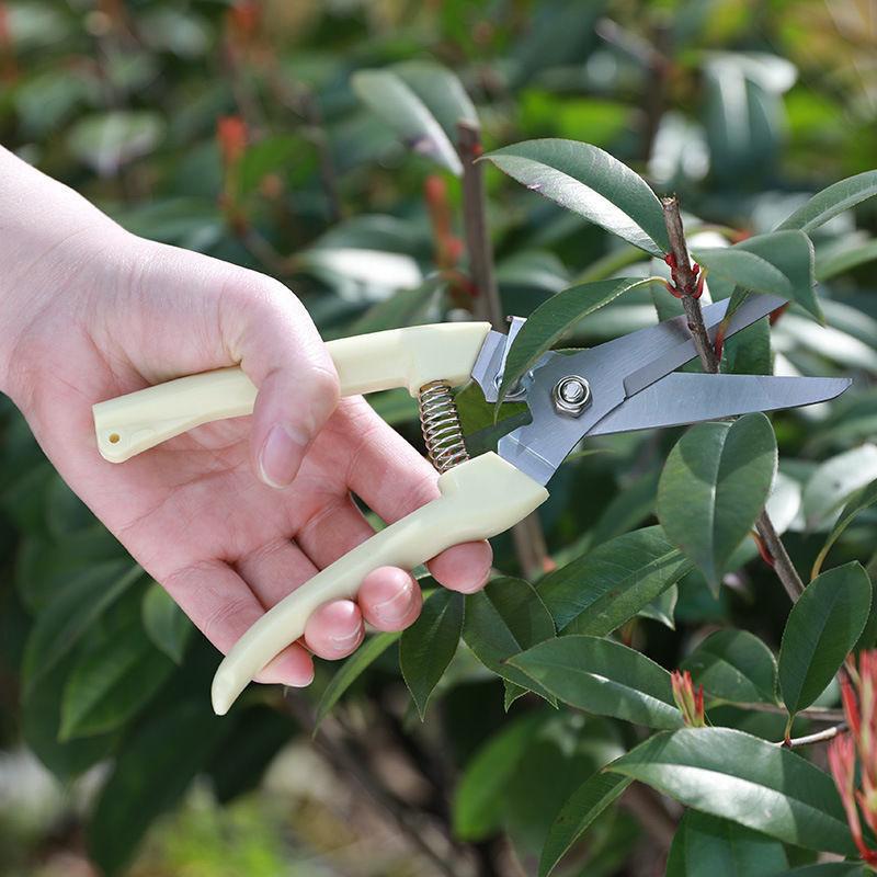 Stainless Steel Pruning Scisso – обзор и цена Gardening Tools On Sale