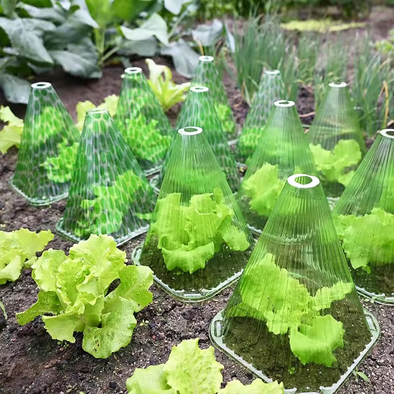 10/20pcs Plant Protective Cove – обзор и цена Gardening Tools Usa